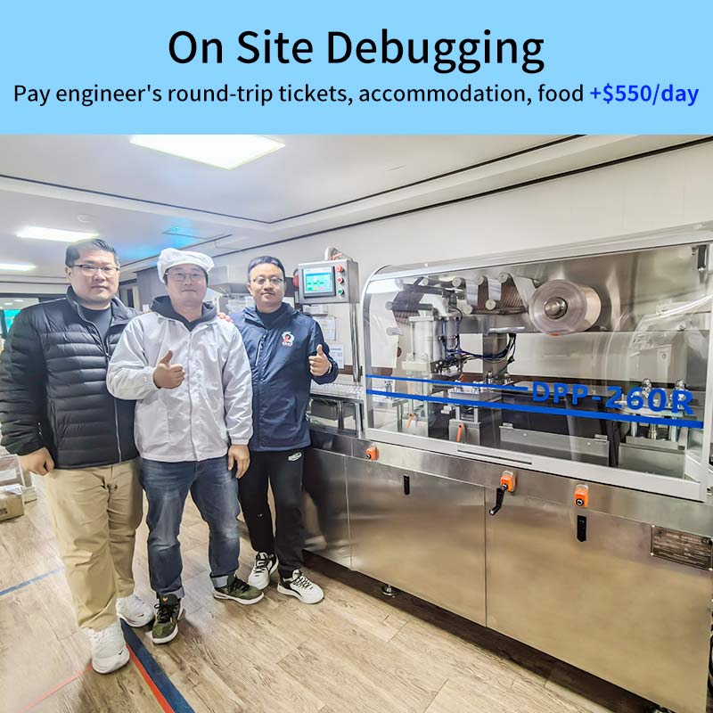 डिबगिंगगिंग debugging