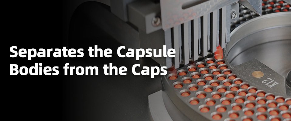 Separates-the-Capsule--Bodies-from-the-Caps