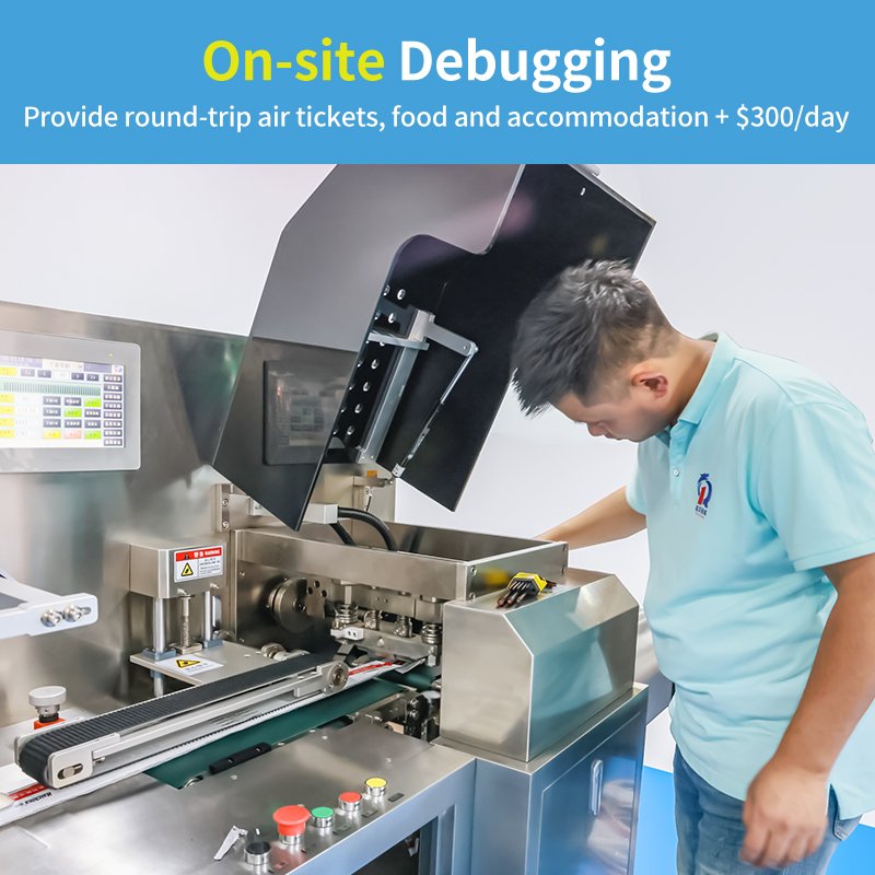 Debuggen vor Ort On Site Debugging