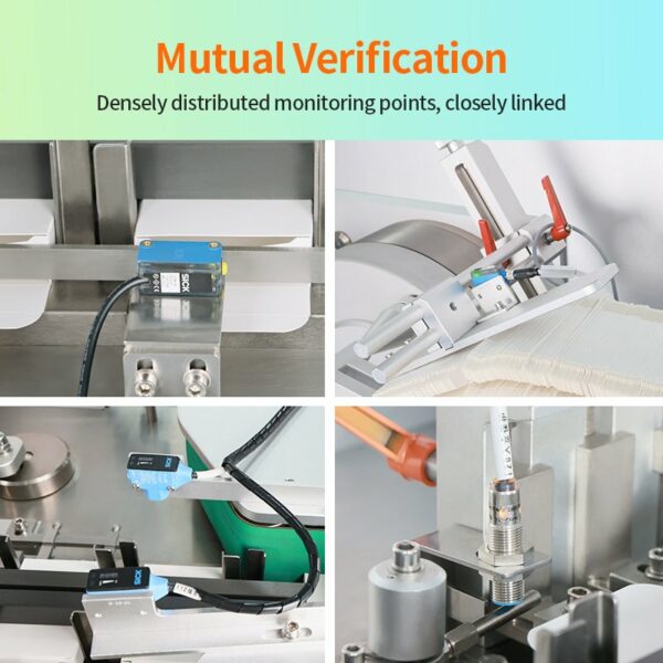 Mutual Verification