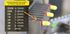 capsule sizes