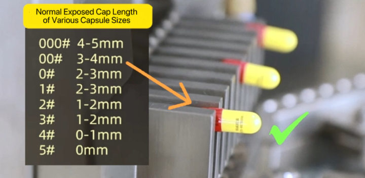 capsule sizes
