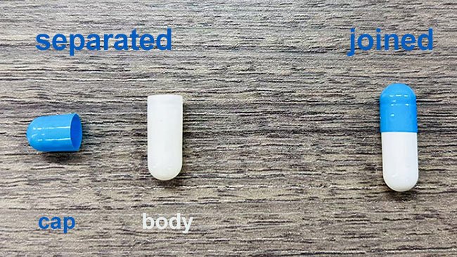 capsule body capsule cap