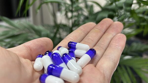 hard gelatin capsules