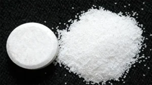 orally disintegrating tablet
