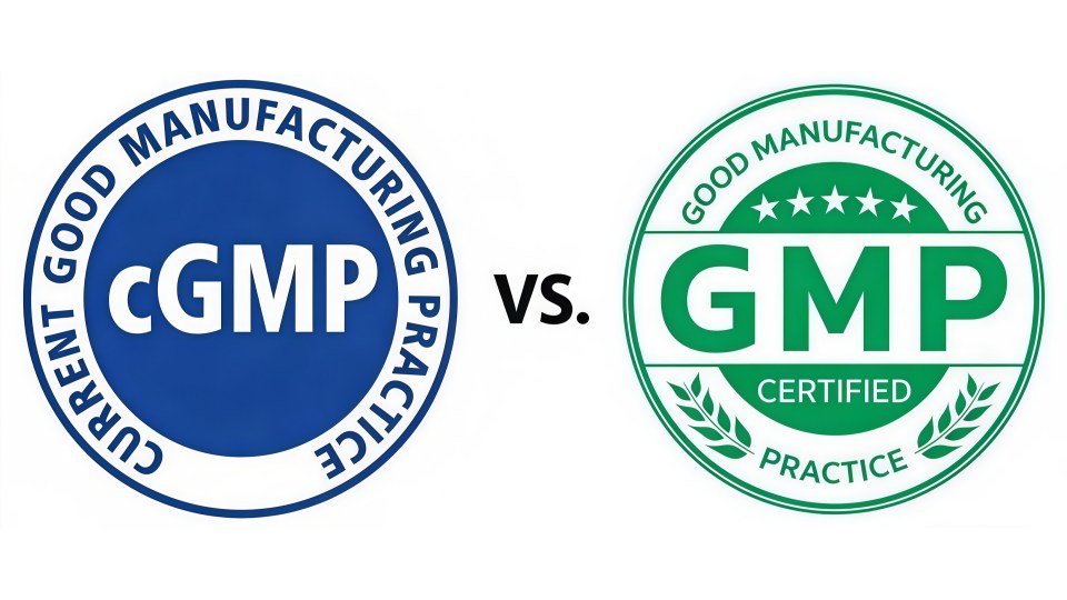 cGMP VS GMP