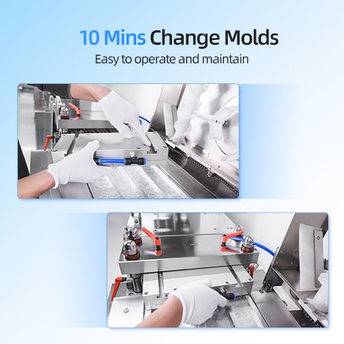 10 Mins Change Molds