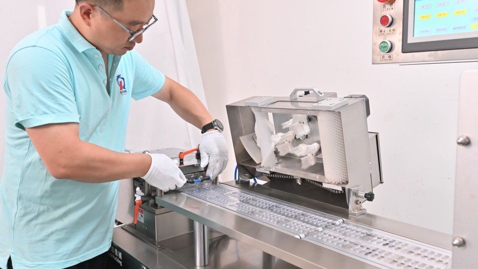 Blister packaging machine slide-out mold for quick changeover